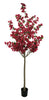 Árbol Bouganvilla – 240 cm