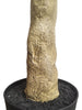 Árbol Olivo – 300 cm
