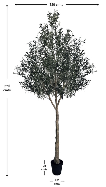 Árbol Olivo – 300 cm