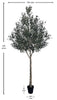 Árbol Olivo – 300 cm