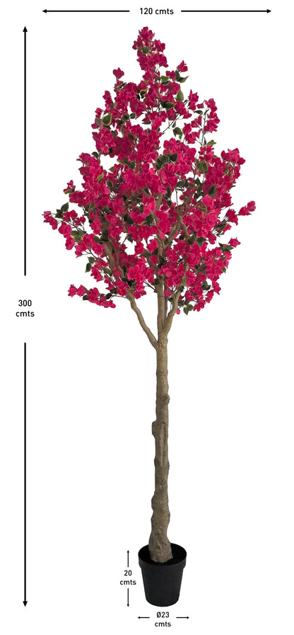 Árbol Bouganvilla – 270 cm