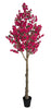 Árbol Bouganvilla – 270 cm