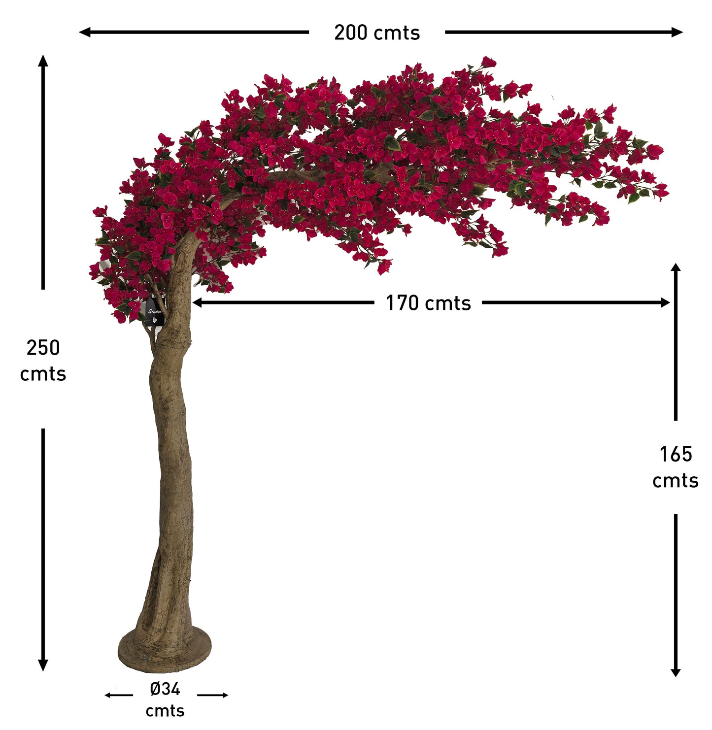 Árbol Arco Bouganvilla – 250 cm